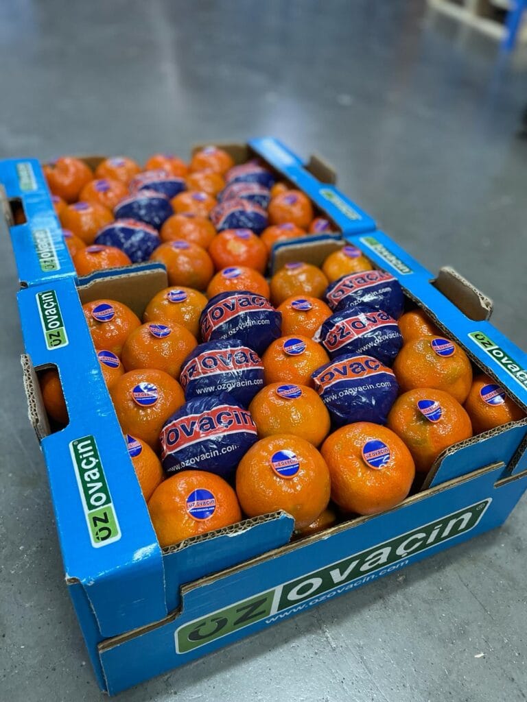 oz ocavin 1